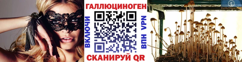 Галлюциногенные грибы Psilocybine cubensis  Купить  Краснослободск 