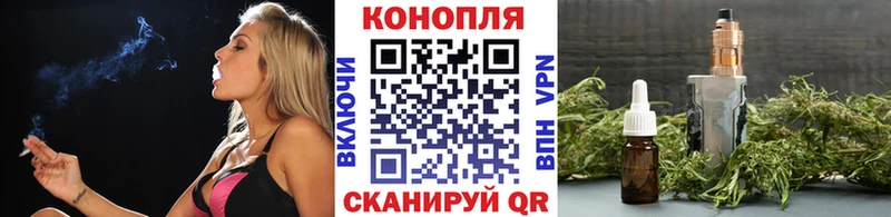Бошки Шишки ГИДРОПОН  Купить  Краснослободск 